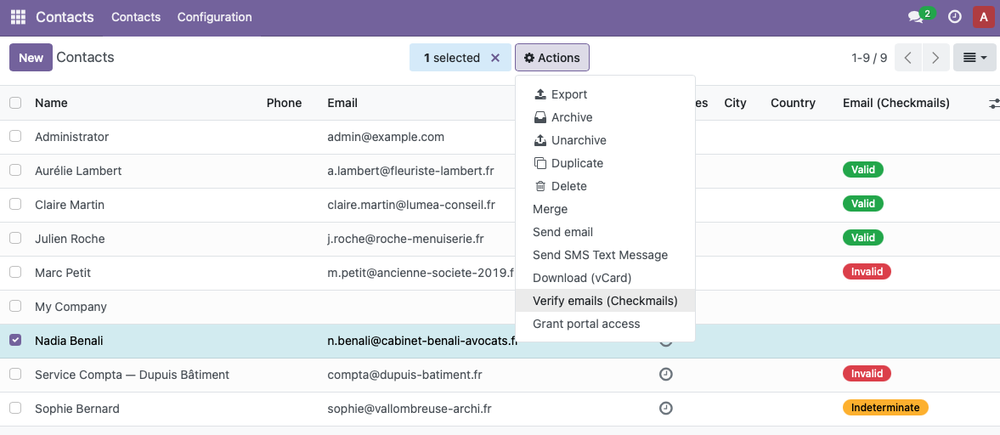 Bulk verification from the Odoo contact list via the Action menu
